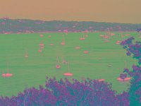 IMGP2772 edited (Medium)